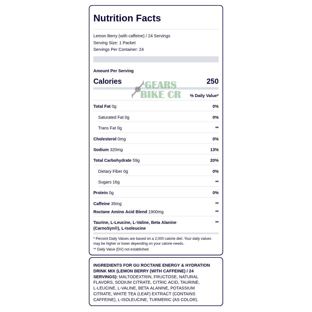 HIDRATANTE ENERGY DRINK GU ROCTANE 1560g